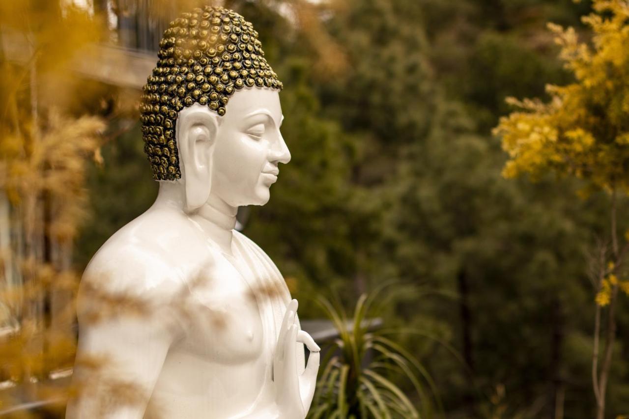 Golden Fern Resort Shimla Exterior foto